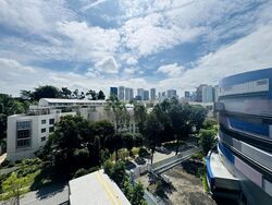 8 Napier (D10), Condominium #471763401